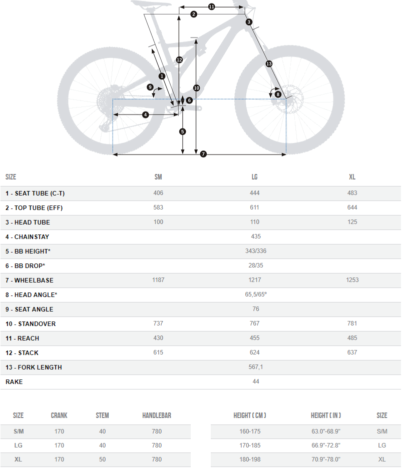 Orbea store rallon sizing